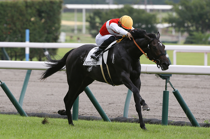 2023 2yrs old New Horse Race Make Debut Chukyo 2023 07 09 CHUKYO 06R 2 year old gelding Winner   4 favorite Shonan Manuela Atsuya Nishimura Jockey  orange cap   at Chukyo Racecourse in Aichi, Japan on July 9, 2023.
