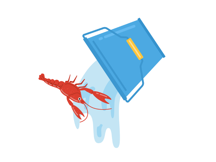 Clip art of American Crayfish Release