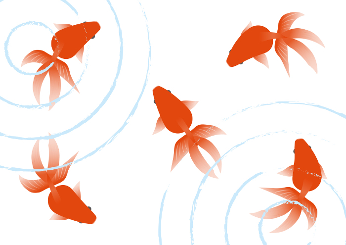 Clip art of swimming goldfish2