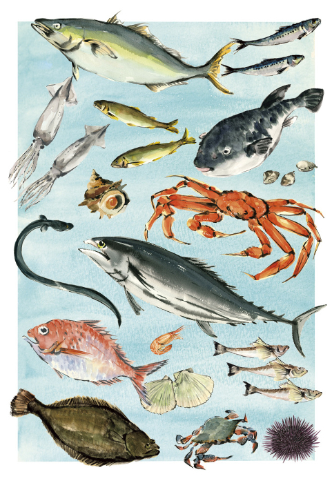 Illustration of various seafoods in watercolor
