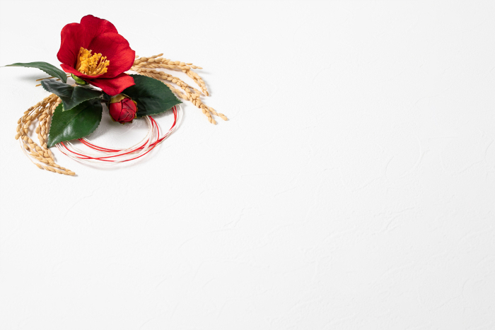 Red Camellia Backgrounds Web graphics for New Year and Japanese culture.