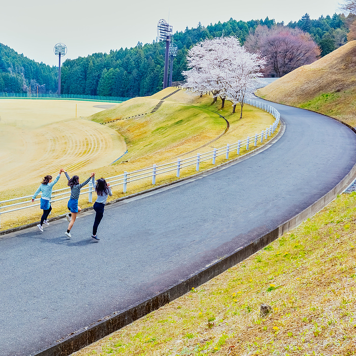 Close junior high school girls on a holiday skipping along a cherry blossom park road.