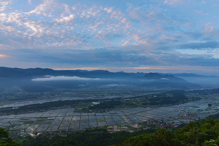 Paddy fields in the Iiyama Basin, Nagano Prefecture, overhead view