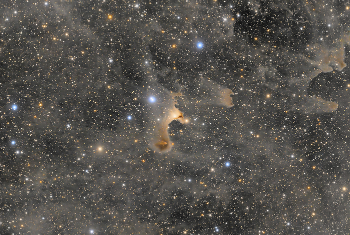 The Ghost Nebula - The small but spectacular dark cloud CB 230 not far from the Iris Nebula in Cepheus, by pmneo Astrophotography