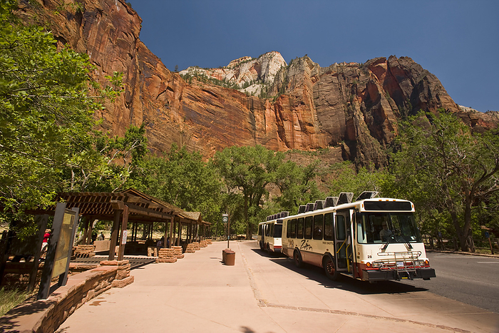 Zion National Park, USA Shuttle bus in Zion National Park, Utah, USA  Utah, United States of America, by Michael Melford   Design Pics