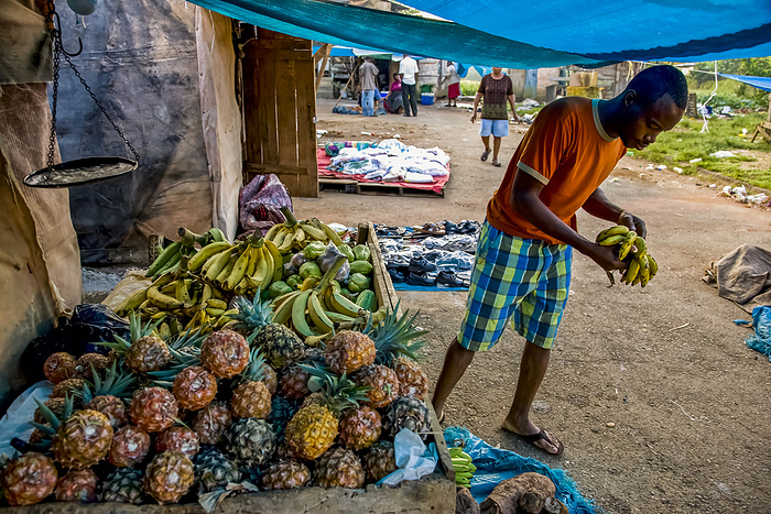 Jamaica Locals sell produce at the aptly named town of Newmarket  Newmarket, Jamaica, by Michael Melford   Design Pics