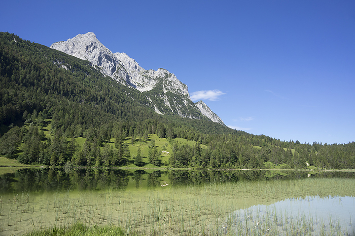 Swimming lake nearby Mittenwald Swimming lake nearby Mittenwald, by Zoonar Andreas Schol