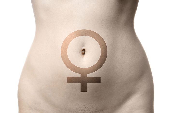 female venus symbol on womb or stomach or belly of woman female venus symbol on womb or stomach or belly of woman, by Zoonar Axel Bueckert