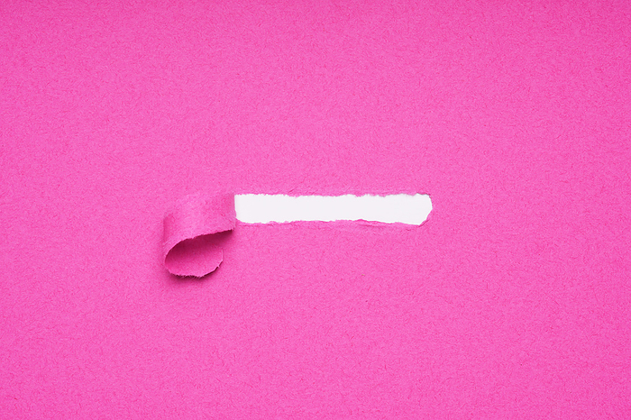 peel away pink torn paper to reveal hidden copy space underneath peel away pink torn paper to reveal hidden copy space underneath, by Zoonar Axel Bueckert