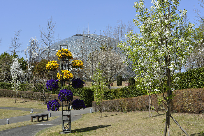 Flower Dome from Fog Garden, Tottori Hanakairo, Tottori