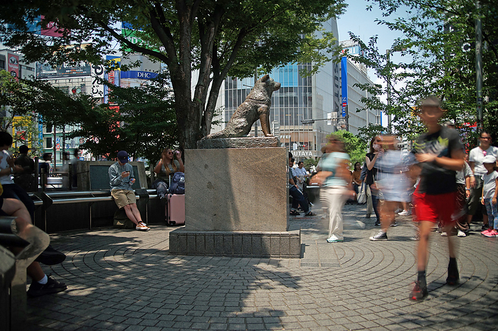 Statue of Hachiko Shibuya, Shibuya-ku, Tokyo