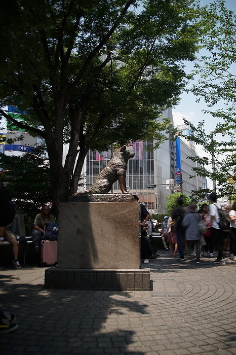 Statue of Hachiko Shibuya, Shibuya-ku, Tokyo