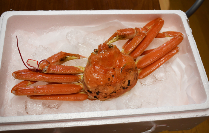 Fresh Matsuba crab in a box