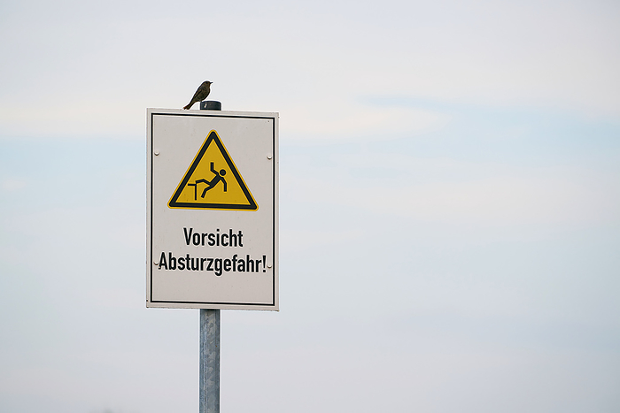 Sign with the inscription  Sign with the inscription Caution, danger of falling. On the sign sits a bird.