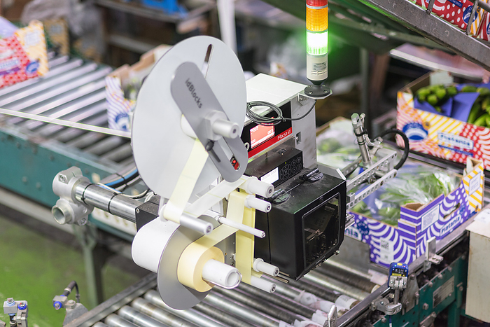 Tenerife, Spain   January 3, 2019: Automated labeling machine during operation in food packaging industry. Tenerife, Spain   January 3, 2019: Automated labeling machine during operation in food packaging industry.