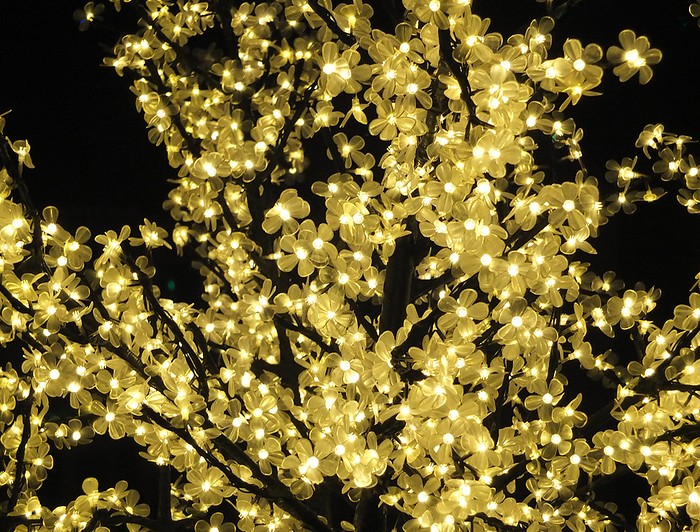 yellow fairy lights wrapped around a tree yellow fairy lights wrapped around a tree