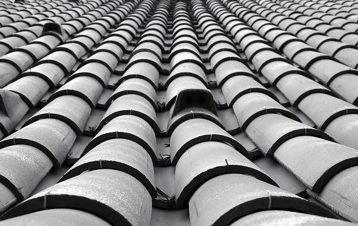 monochrome toned perspective view of traditional curved Portuguese style overlapping rows of roof tiles monochrome toned perspective view of traditional curved Portuguese style overlapping rows of roof tiles