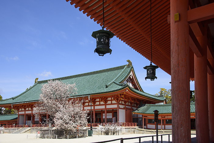 Heian Jingu Shrine, Sakon no Sakura and Daigoku-den Hall