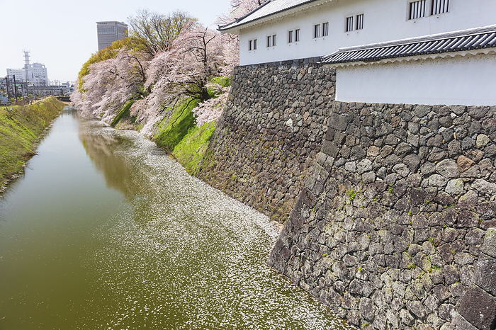 Yamagata Castle Moat and Flower Rafts Yamagata Prefecture