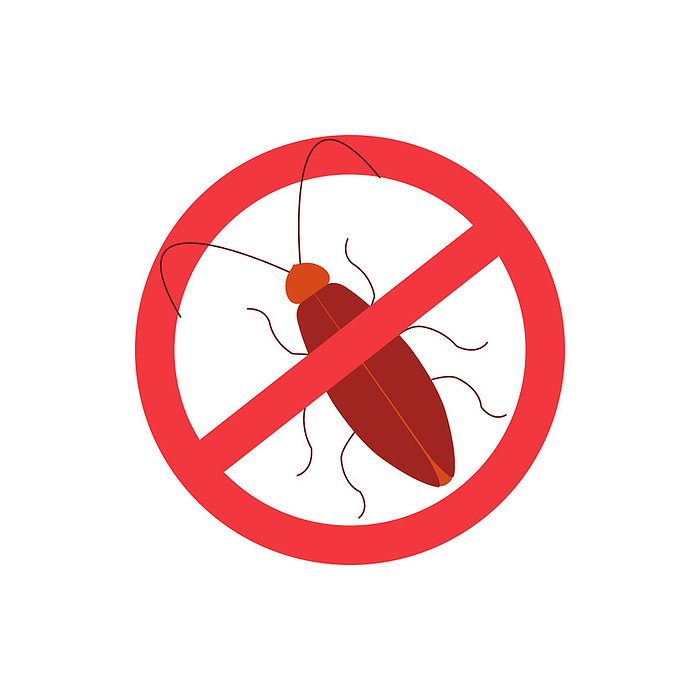 Cockroach pest sign, conceptual illustration Cockroach pest sign, conceptual illustration., by ART4STOCK SCIENCE PHOTO LIBRARY