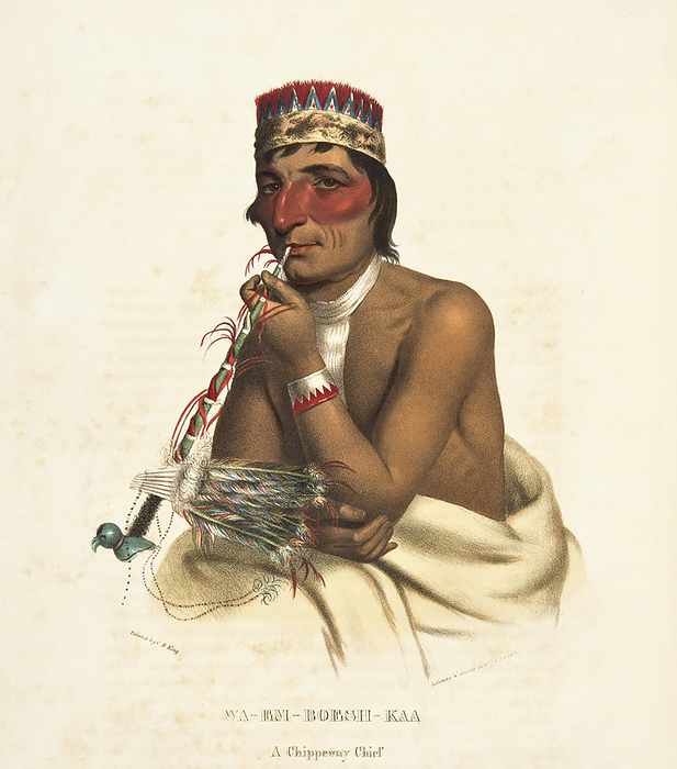 Waemboeshkaa, Chippeway Chief, illustration Waemboeshkaa, a Chippeway Chief, with a peace pipe. Illustration from the book  History of the Indian Tribes of North America with biographical sketches and anecdotes of the principal Chiefs , Volume 1 of 3, by Thomas Loraine, McKenney and James Hall. Published in 1838. Painted by Charles Bird King., by PHOTOSTOCK ISRAEL SCIENCE PHOTO LIBRARY