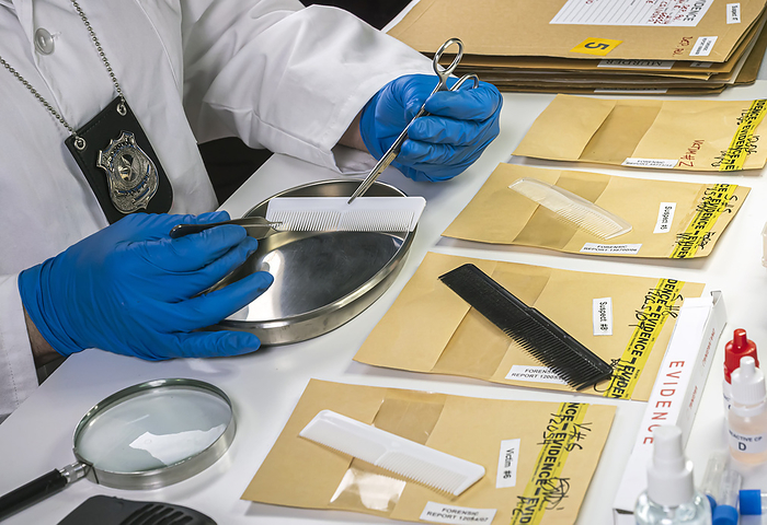 Forensic analysis Forensic analysis., by DIGICOMPHOTO SCIENCE PHOTO LIBRARY