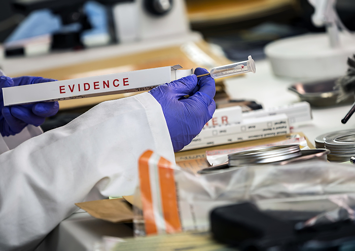 Swabs for forensic analysis Swabs for forensic analysis., by DIGICOMPHOTO SCIENCE PHOTO LIBRARY
