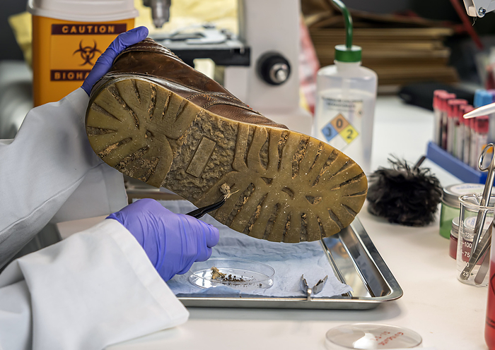 Forensic analysis of footwear Forensic analysis of footwear., by DIGICOMPHOTO SCIENCE PHOTO LIBRARY