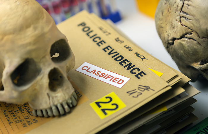 Forensic analysis of human remains Forensic analysis of human remains., by DIGICOMPHOTO SCIENCE PHOTO LIBRARY