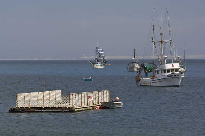 California, U.S.A. Commercial fishing boats anchored at Port San Luis, San Luis Obispo County, California