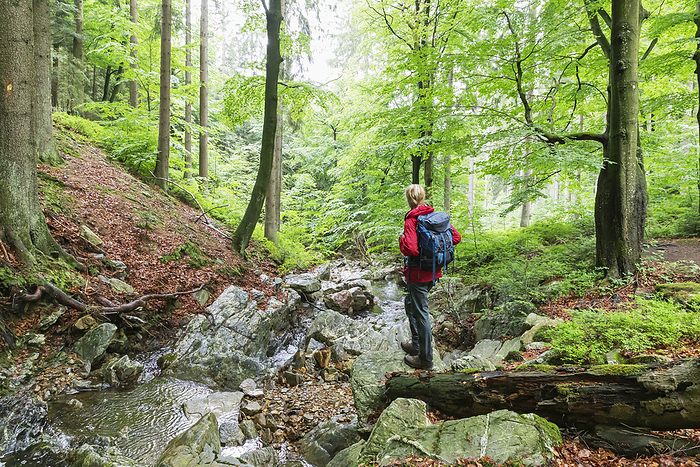 Mature woman with backpack standing in forest