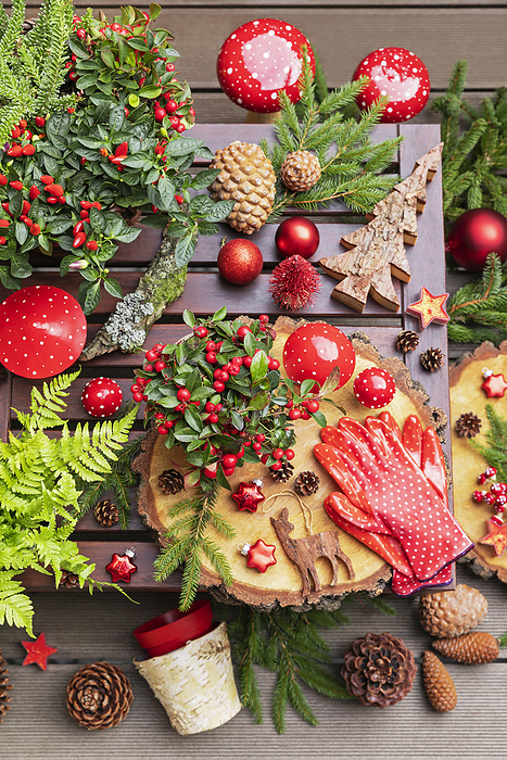 Winter plants, pine cones, Christmas decorations, wooden coasters and gardening gloves on table