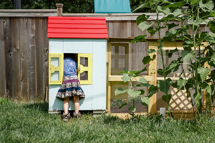 Rear view of little girl in large boots leaning inside chicken coop