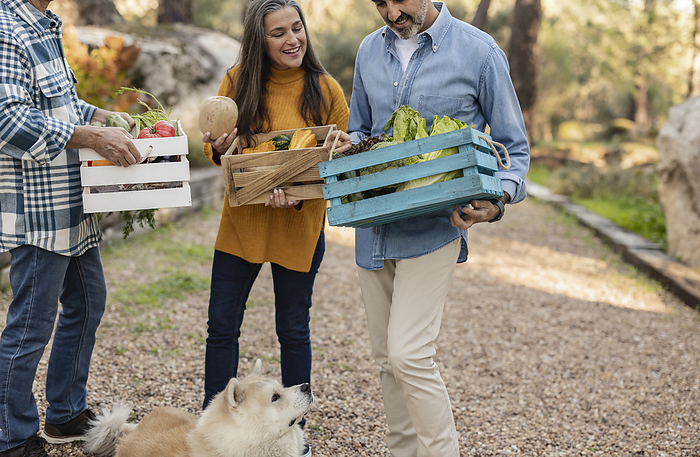 Friends carrying vegetable crates looking smiling at freshly harvested produce