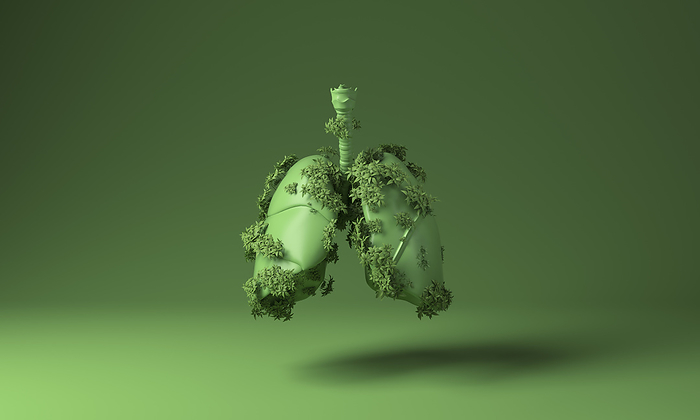 Lungs covered with green plants against green background
