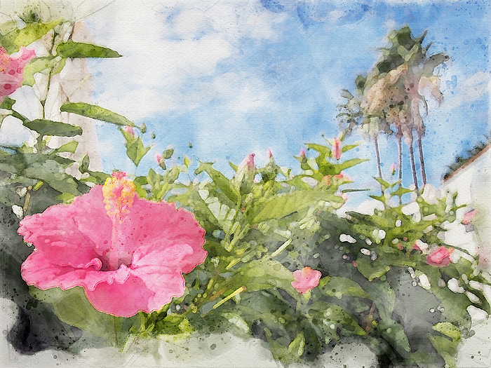 watercolor painting of a tropical holiday vacation scene with a bright pink hibiscus flower in front of white blurred buildings and palm trees against a bright sunny blue sky and fluffy white clouds watercolor painting of a tropical holiday vacation scene with a bright pink hibiscus flower in front of white blurred buildings and palm trees against a bright sunny blue sky and fluffy white clouds