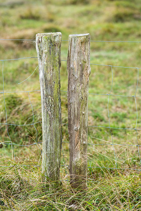 Wood fence post in countryside on Fehmarn Wood fence post in countryside on Fehmarn