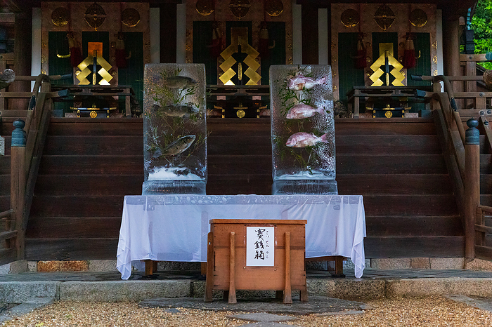 Ice Pillar in front of Himuro Shrine, Nara Prefecture
