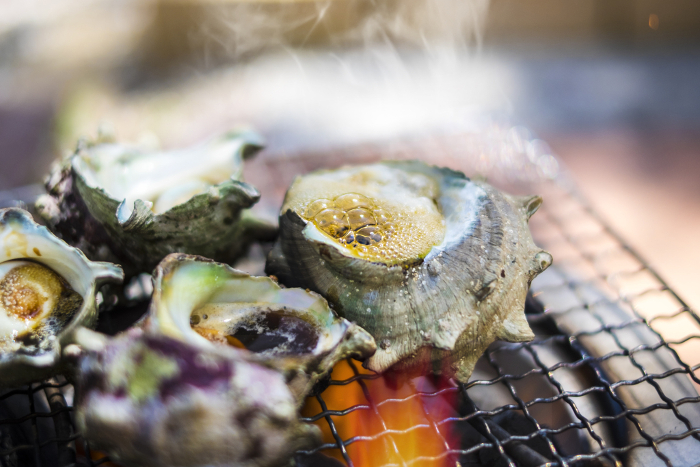 Grilled turban shells in a pot over a charcoal fire