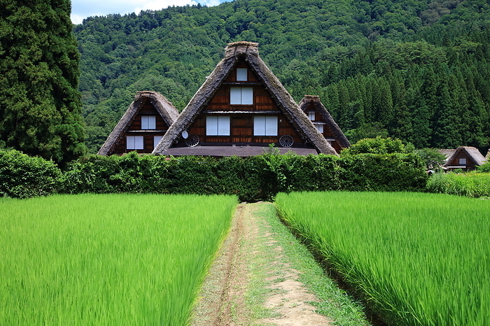 Shirakawa go Gassho Village  