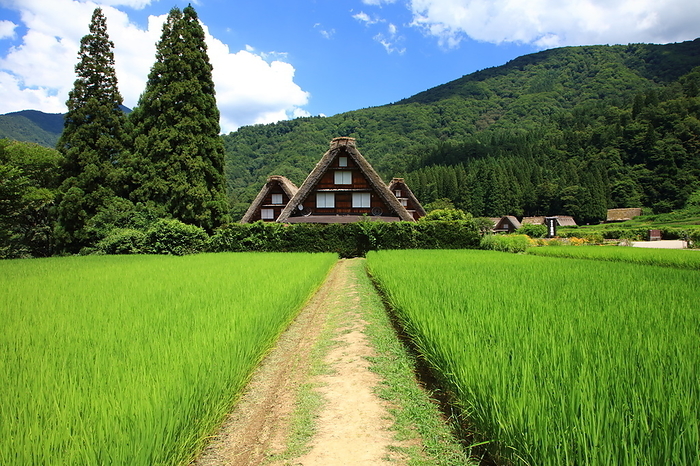 Shirakawa-go Gassho Village