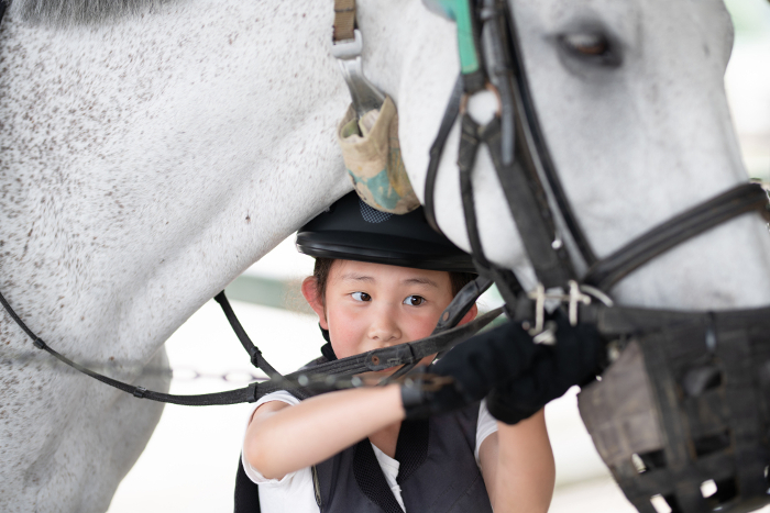 A child taking care of a horse