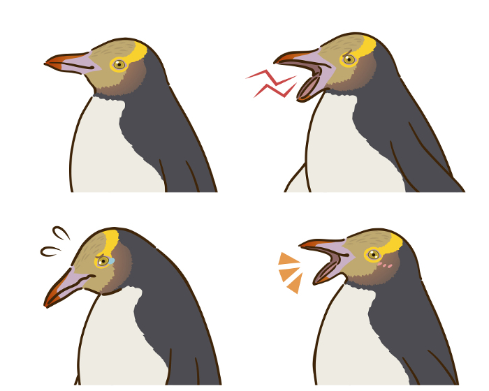 Kigashira penguin joy, anger, sorrow, and pleasure set