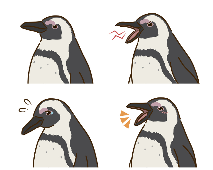 Cape penguin joy, anger, sorrow, and pleasure set