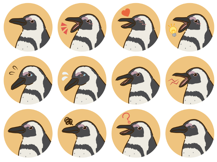 Cape penguin expression icon set