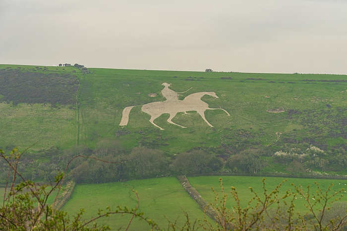The famous hill figure cut into limestone of the White Horse of Osmington Hill, Weymouth, Dorset, England, United Kingdom, Europe The famous hill figure cut into limestone of the White Horse of Osmington Hill, Weymouth, Dorset, England, United Kingdom, Europe, by Paolo Graziosi