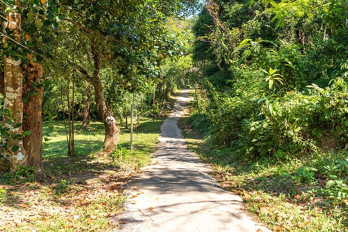 Narrow concrete roadway on the island of Ko Phayam Narrow concrete roadway on the island of Ko Phayam