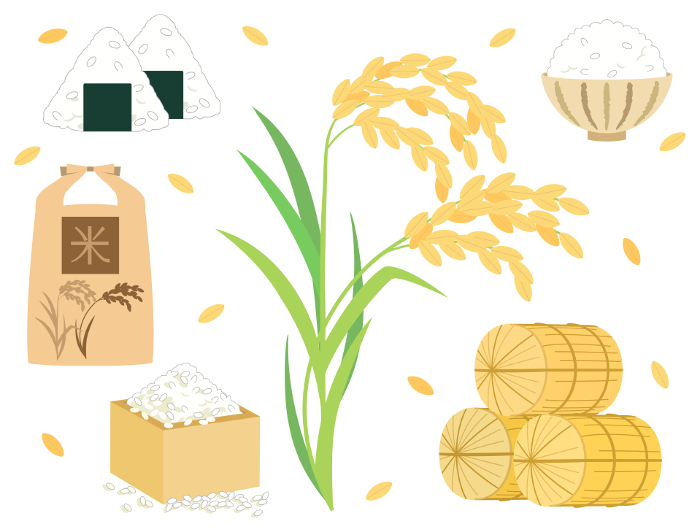 Set of illustrations about rice such as white rice, rice balls, rice, etc.