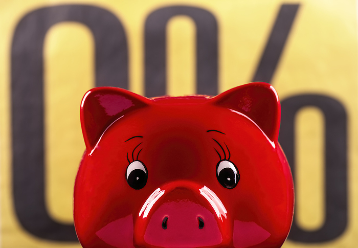 Red piggy bank with zero percent sign Red piggy bank with zero percent sign