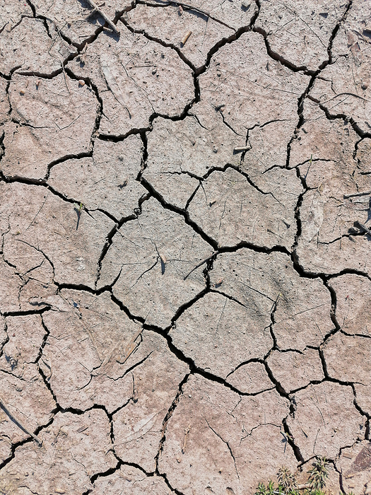 Dried out soil in a field during a Period of drought Dried out soil in a field during a Period of drought